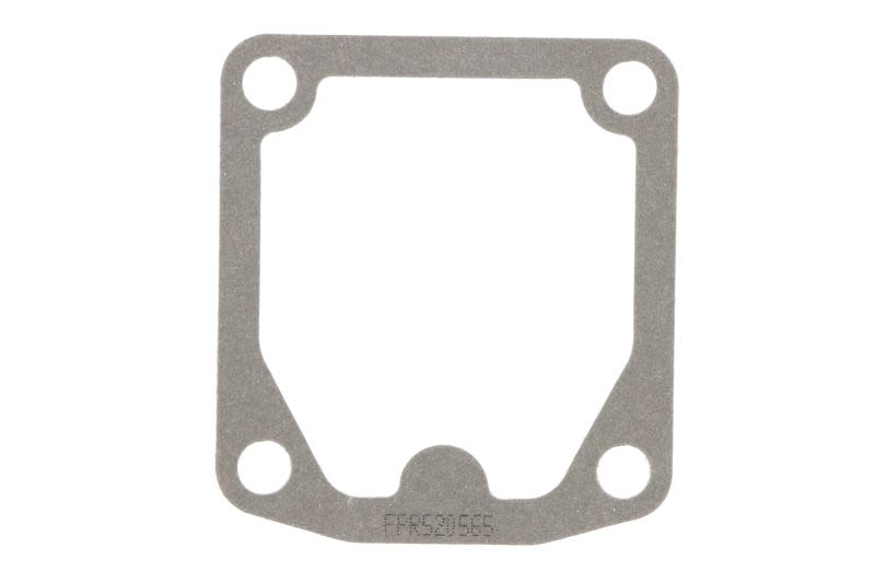 Garnitura bloc motor R520565-FP FP DIESEL (Oferta completa)